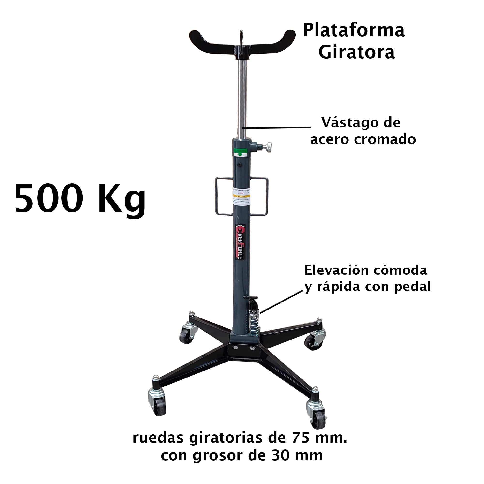 Pack Officina EVF 10150 | Attrezzatura professionale completa