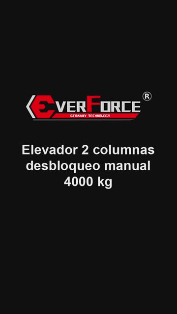 Ponte Sollevatore a Due Colonne Elettroidraulico Manuale 220 V Prezzo 2240,00€ Compreso iva e spedizione